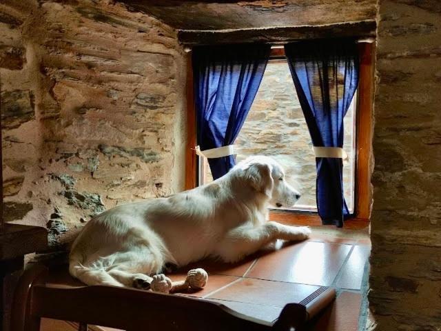 Casa Rural Bierzo Encantado Valle de Finolledo エクステリア 写真
