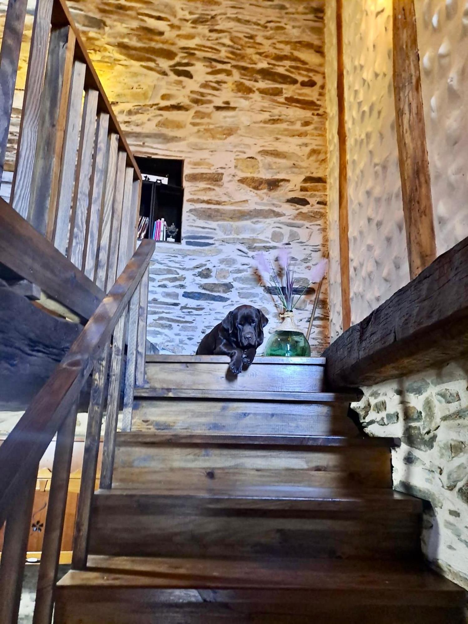 Casa Rural Bierzo Encantado Valle de Finolledo エクステリア 写真